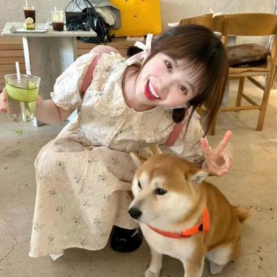 大象（电影）海报