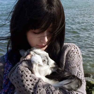 虚构推理海报